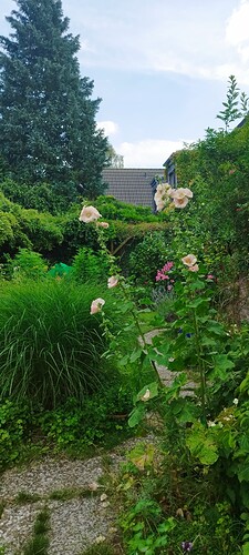 Growreport Bild 18