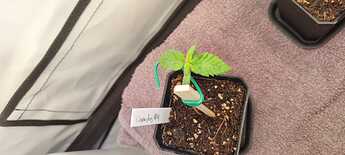 WhatsApp Image 2024-05-02 at 13.52.18 (1)