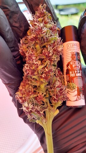 Growreport Bild 24