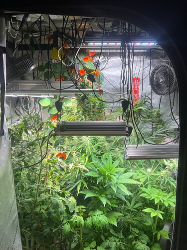 Growreport Bild 3