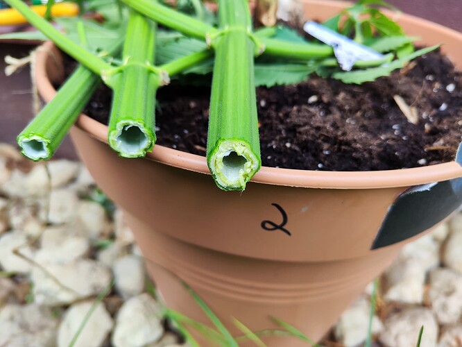 Growreport Bild 24