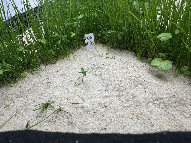Growreport Bild 10
