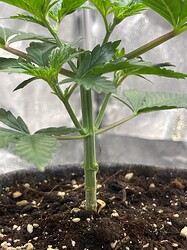 Growreport Bild 23