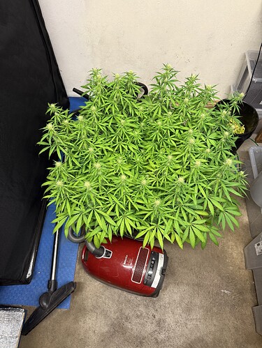Growreport Bild 8