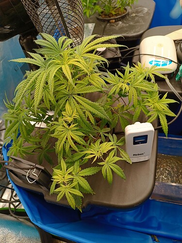 Growreport Bild 4