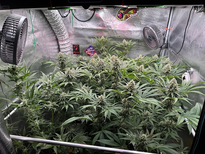 Growreport Bild 14
