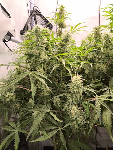 Growreport Bild 10