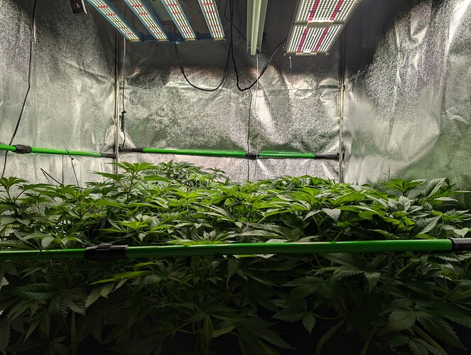 Growreport Bild 5