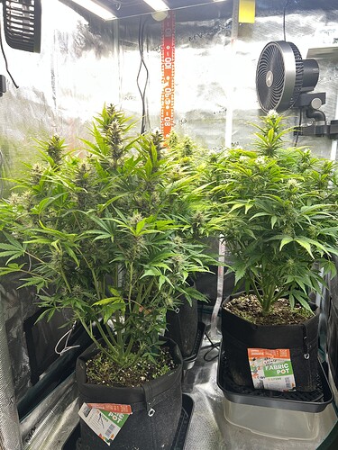 Growreport Bild 27