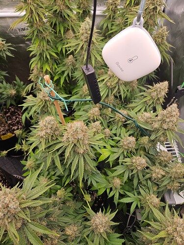Growreport Bild 23