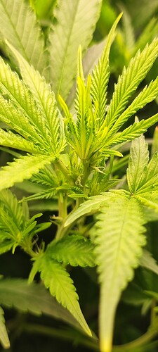 Growreport Bild 10