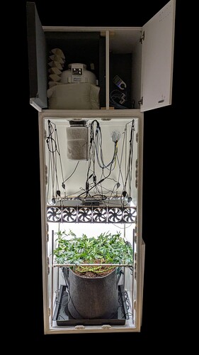 PXL_20250415_154541380