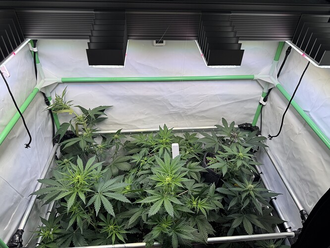 Growreport Bild 29