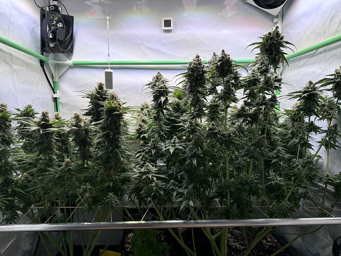 Growreport Bild 9
