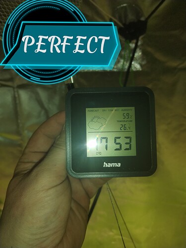 Growreport Bild 1