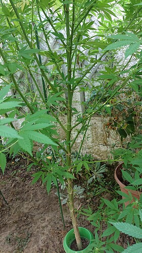 Growreport Bild 7