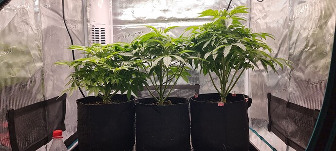 Growreport Bild 18