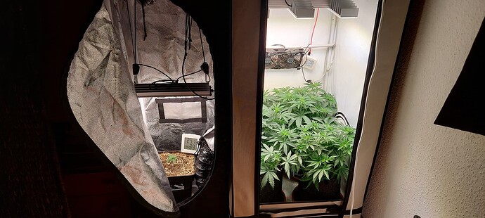 Growreport Bild 4