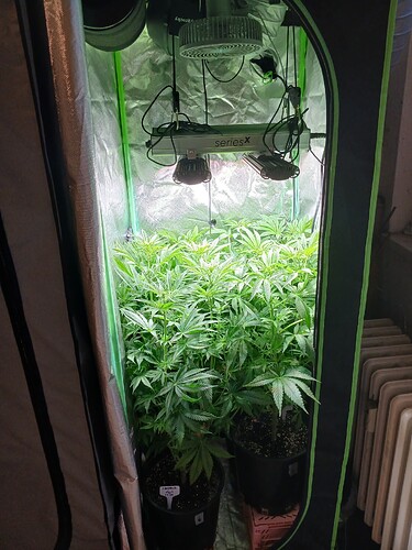 Growreport Bild 6
