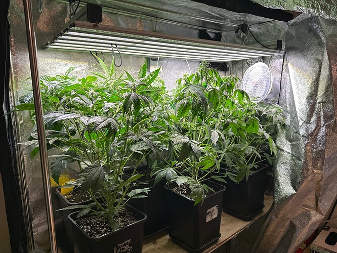 Growreport Bild 6