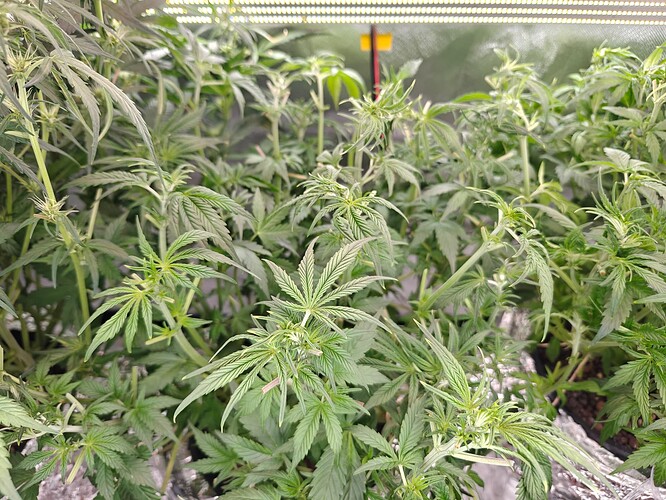 Growreport Bild 24