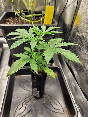 Growreport Bild 12