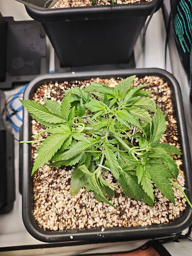 Growreport Bild 15