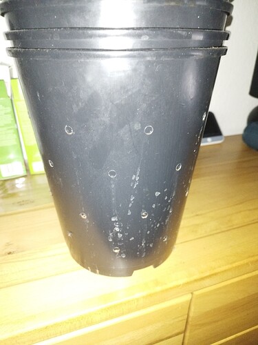 Growreport Bild 9