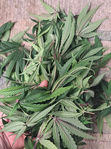 Growreport Bild 11