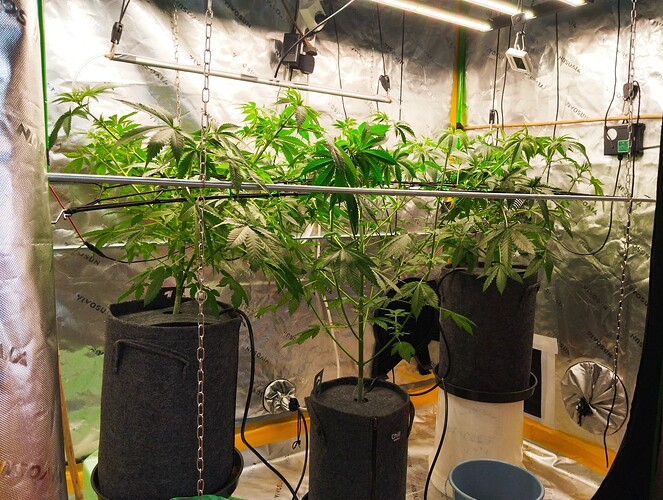 Growreport Bild 11