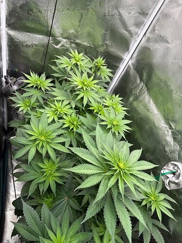 Growreport Bild 12