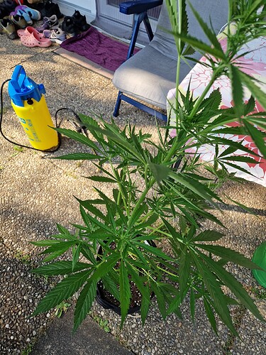Growreport Bild 17