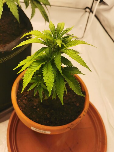 Growreport Bild 14