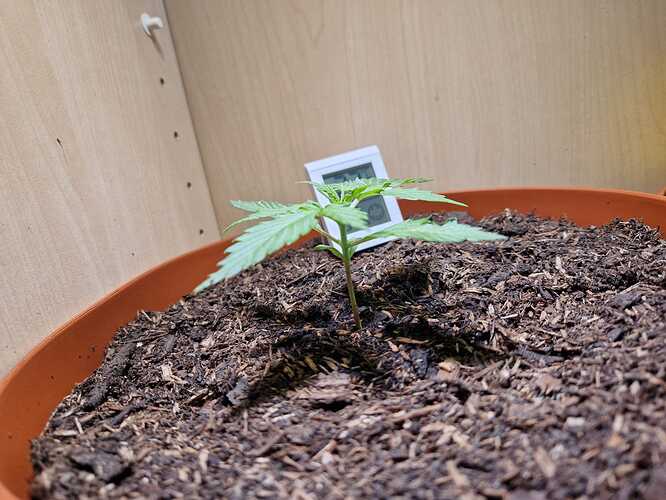 WhatsApp Image 2024-04-29 at 11.00.39 (3)