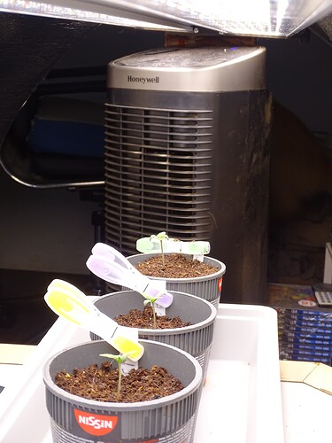 Growreport Bild 26