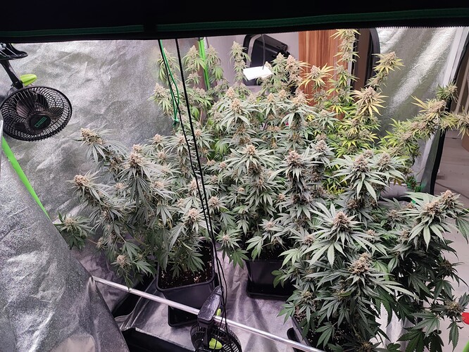 Growreport Bild 56
