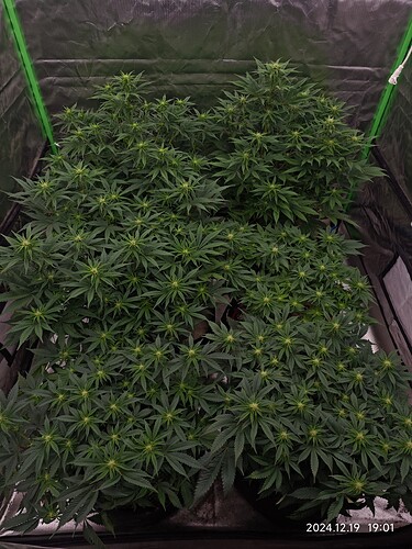 Growreport Bild 9