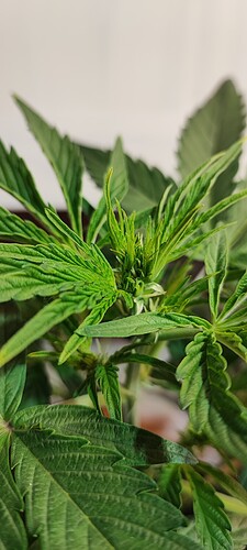 Growreport Bild 2