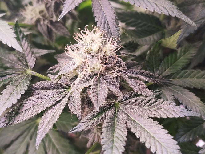 Growreport Bild 12