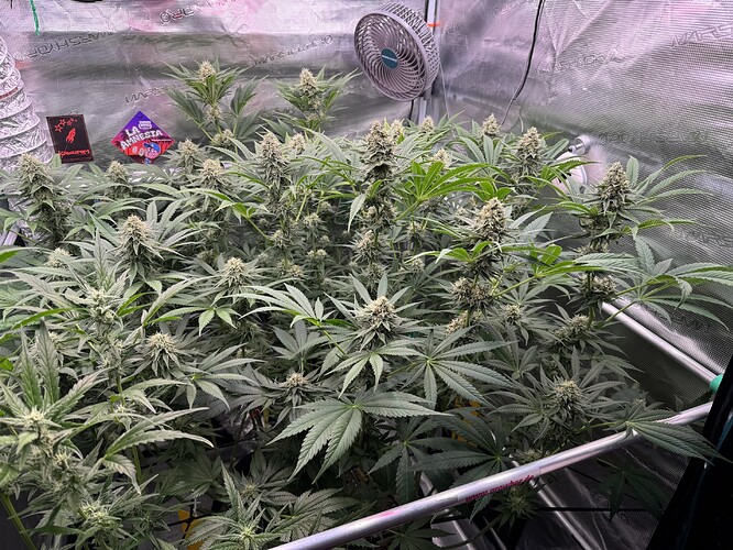 Growreport Bild 5