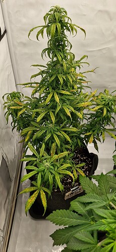 Growreport Bild 18