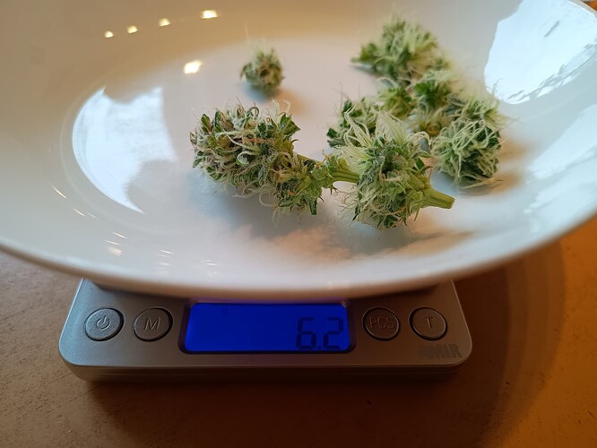 Growreport Bild 13