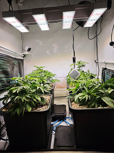 Growreport Bild 42