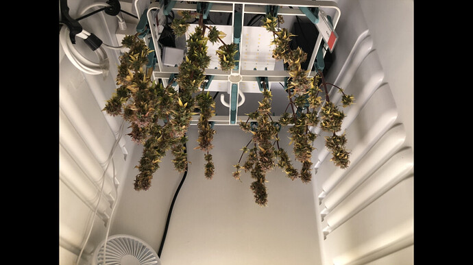Growreport Bild 13