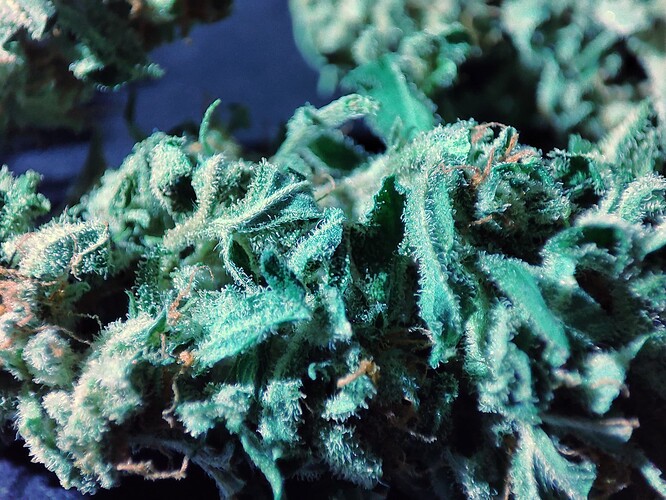 Growreport Bild 8