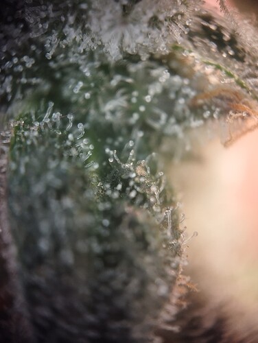 Growreport Bild 16