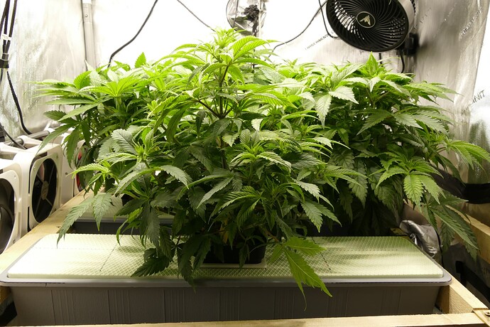 Übersicht_Vorne_VT40