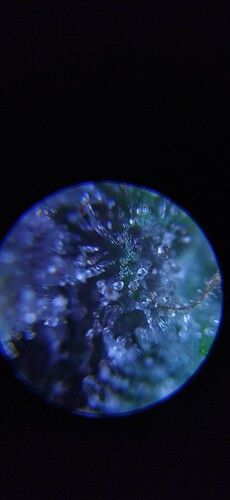 Growreport Bild 12