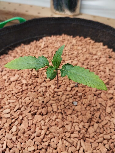Growreport Bild 9
