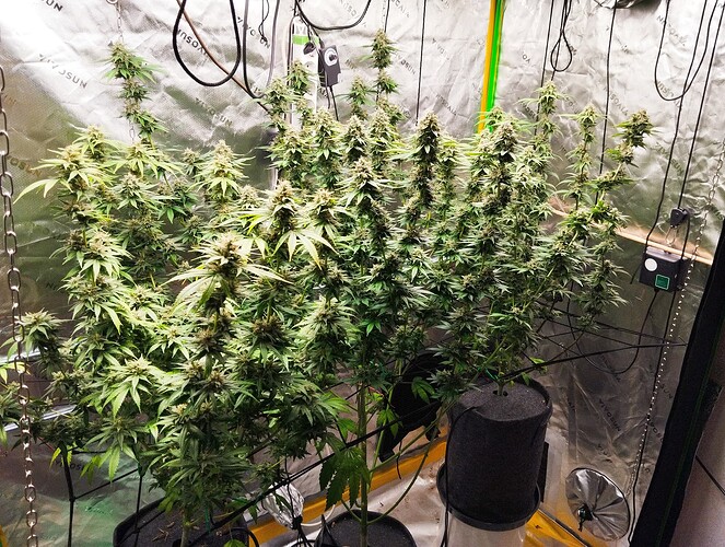 Growreport Bild 16